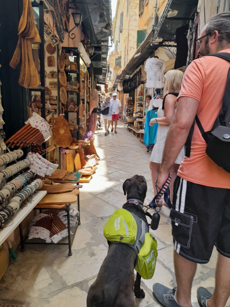 Corfu Greece  with your dog