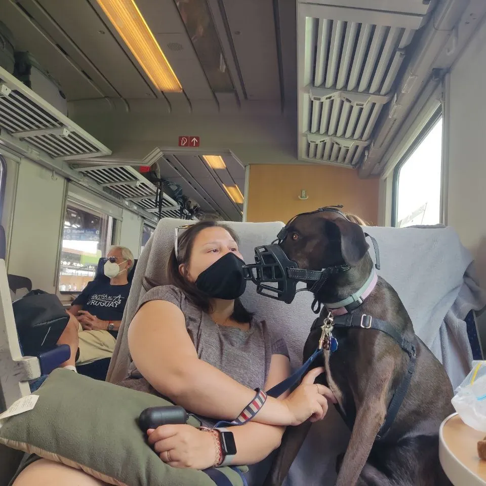 Picture of the woman with muzzled dog on the train