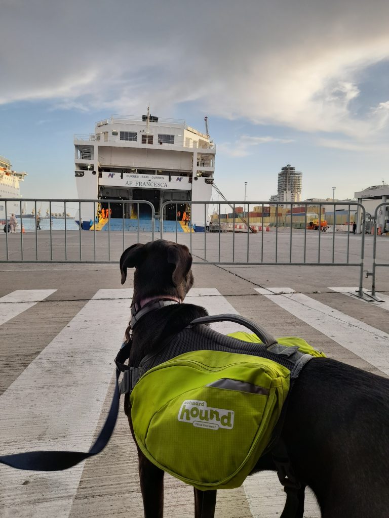 Albania to Italy by ferry with your dog