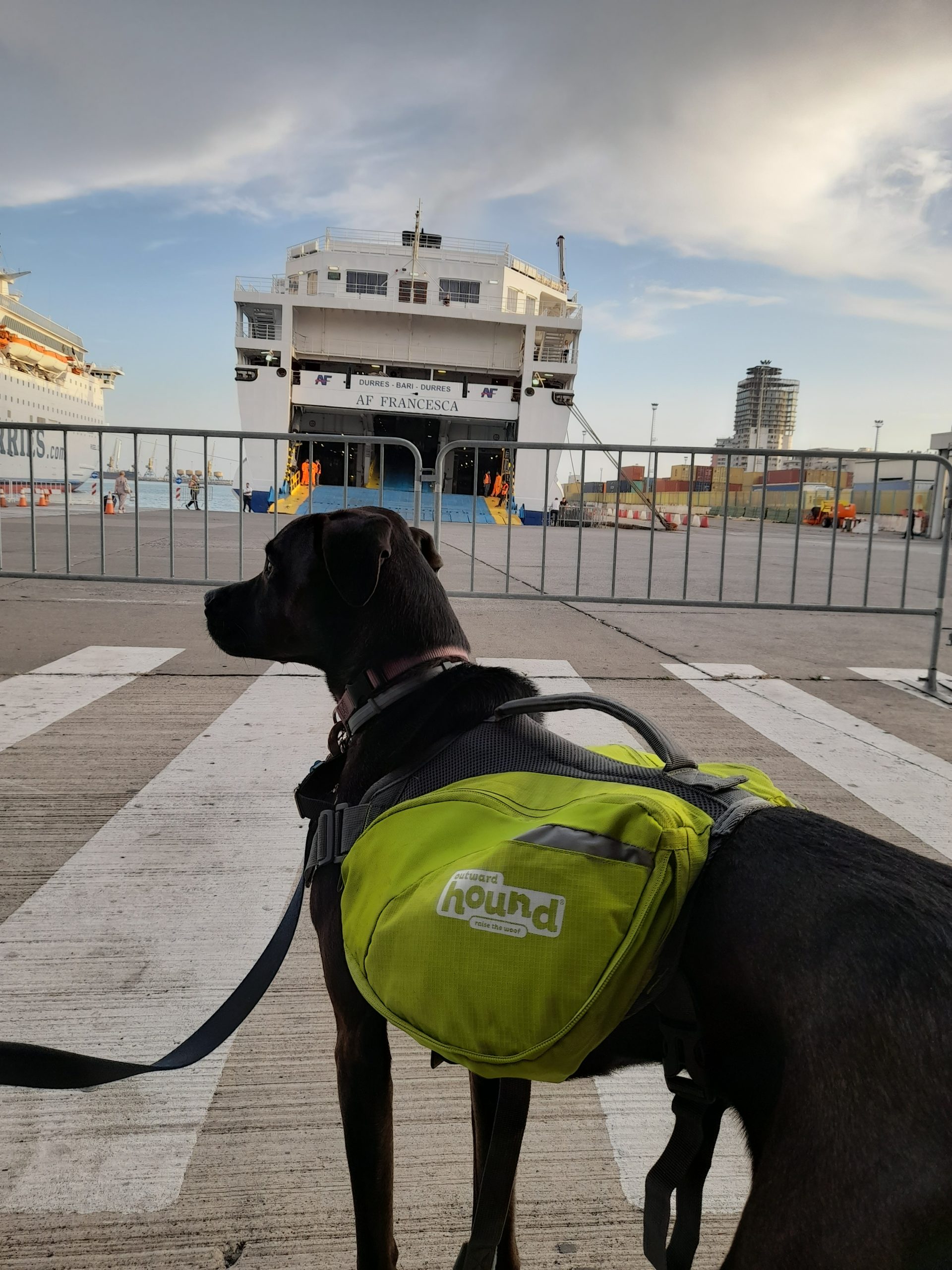 Ferry to Italy. Traveling from Albania to Italy by ferry with your dog