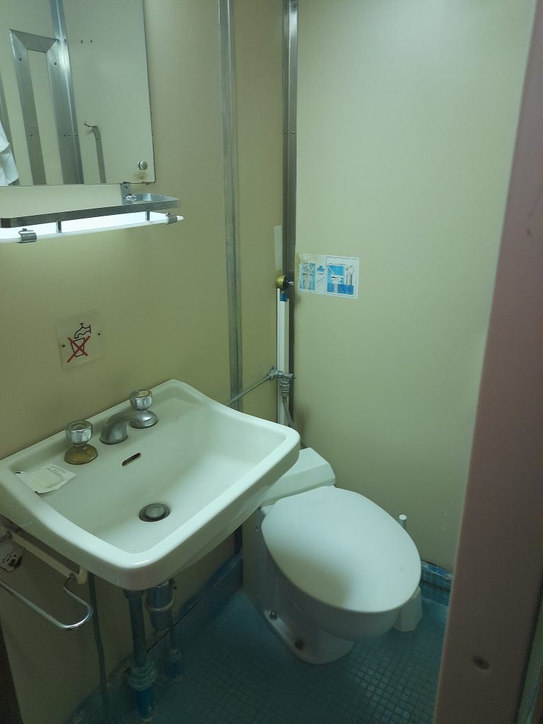 Close image of the sink and toilet in the private 2 people bathroom on the ferry