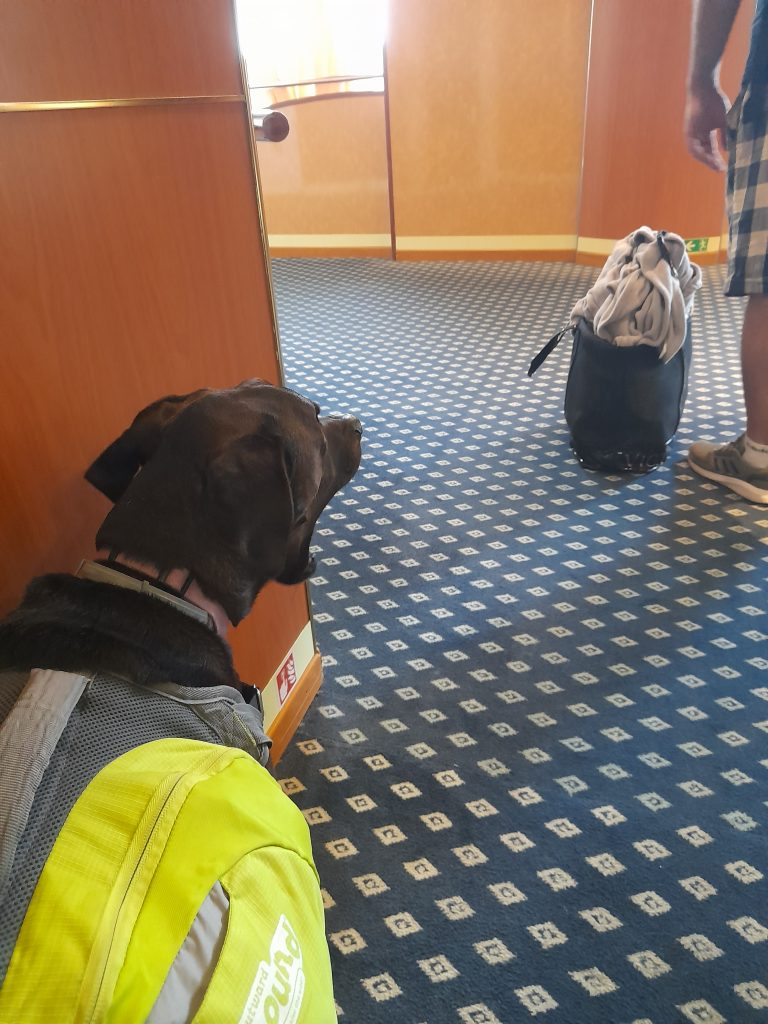 Albania to Italy ferry, dog seating in the corridor 