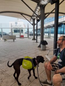 Port of Barri, Italy men and a dog seating in front of the ferry